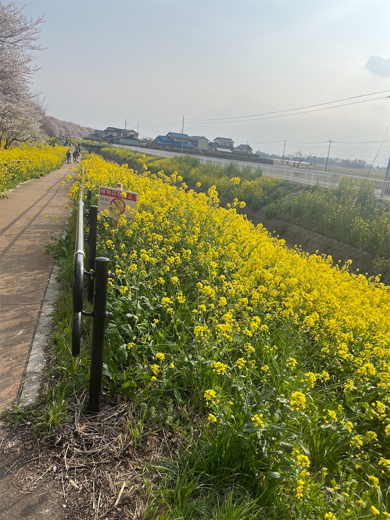 f:id:narutabi:20260331164455j:image