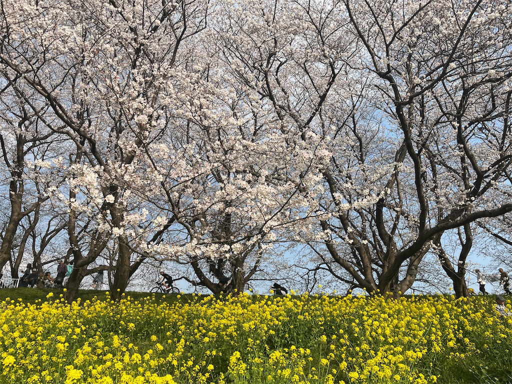 f:id:narutabi:20260331164458j:image
