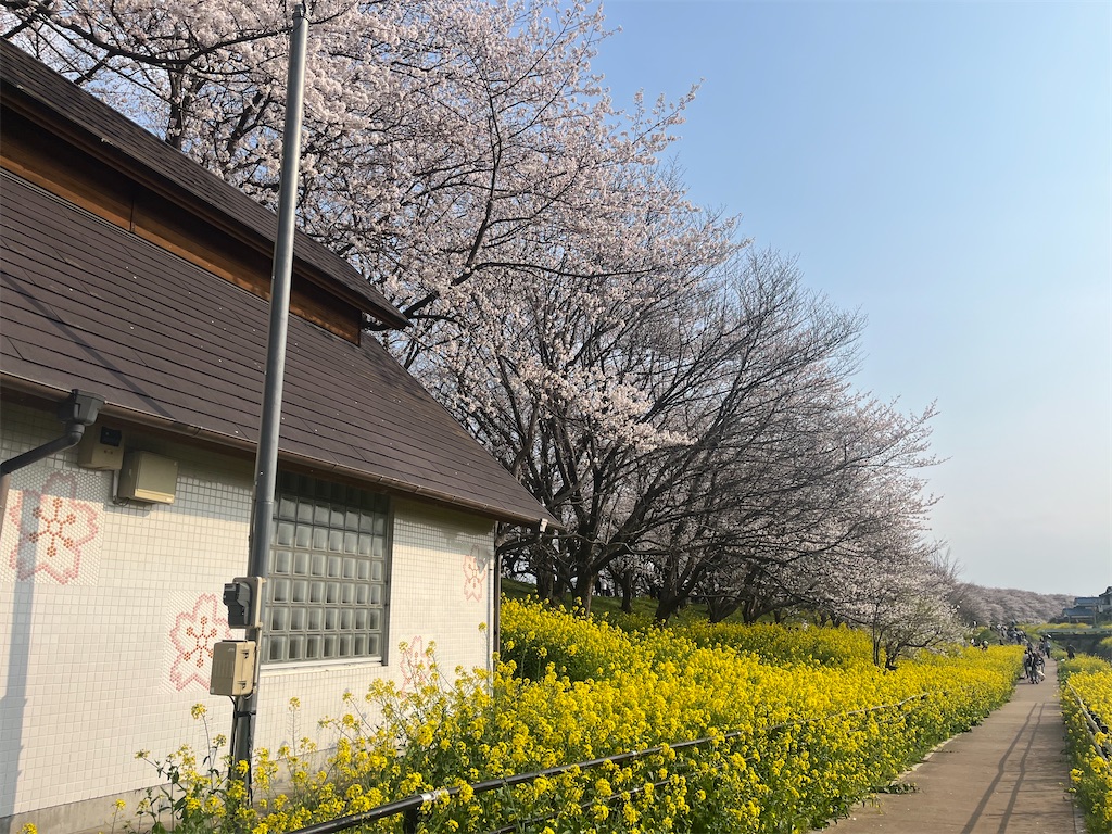 f:id:narutabi:20260331164501j:image
