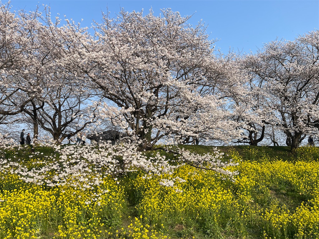 f:id:narutabi:20260331164507j:image