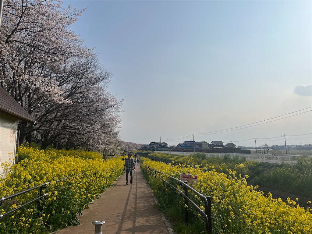 f:id:narutabi:20260331164521j:image