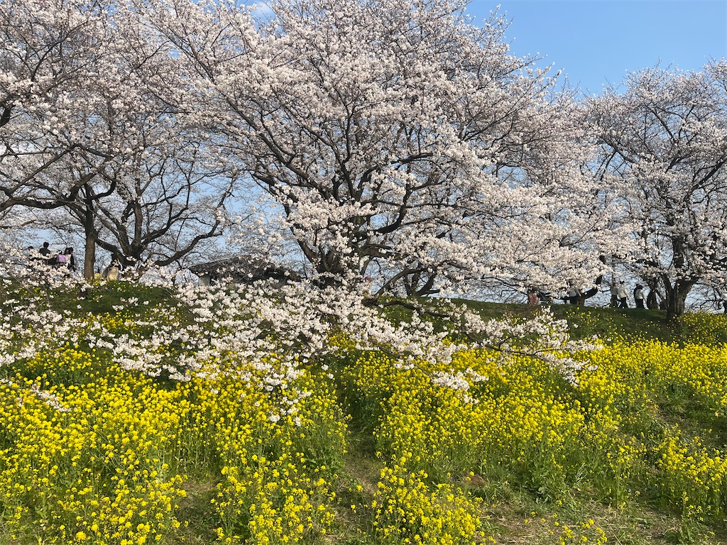 f:id:narutabi:20260331164524j:image