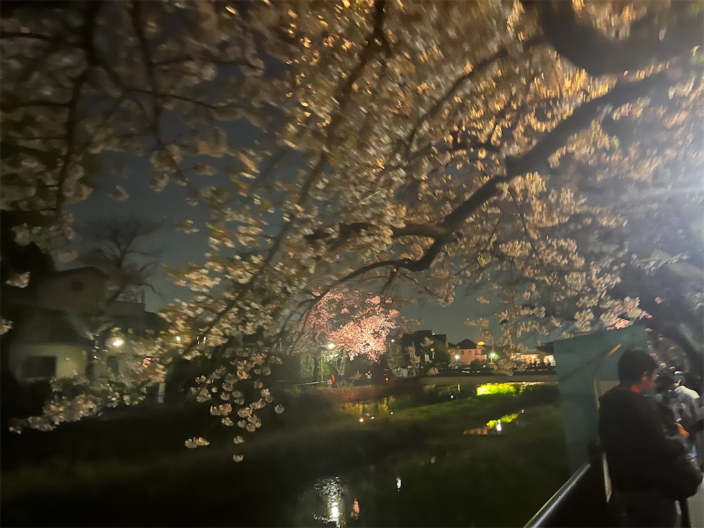f:id:narutabi:20260405112908j:image