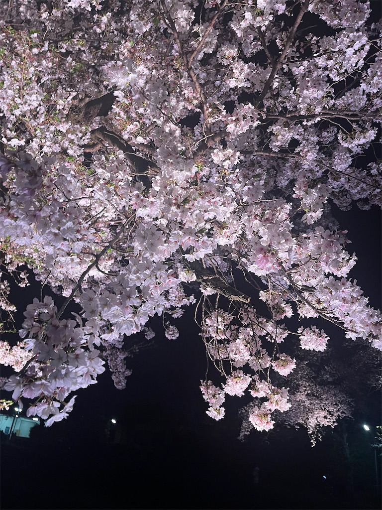 f:id:narutabi:20260405112911j:image