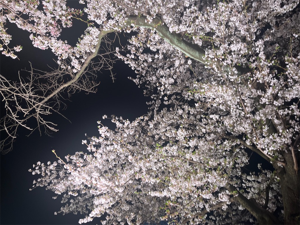 f:id:narutabi:20260405112915j:image