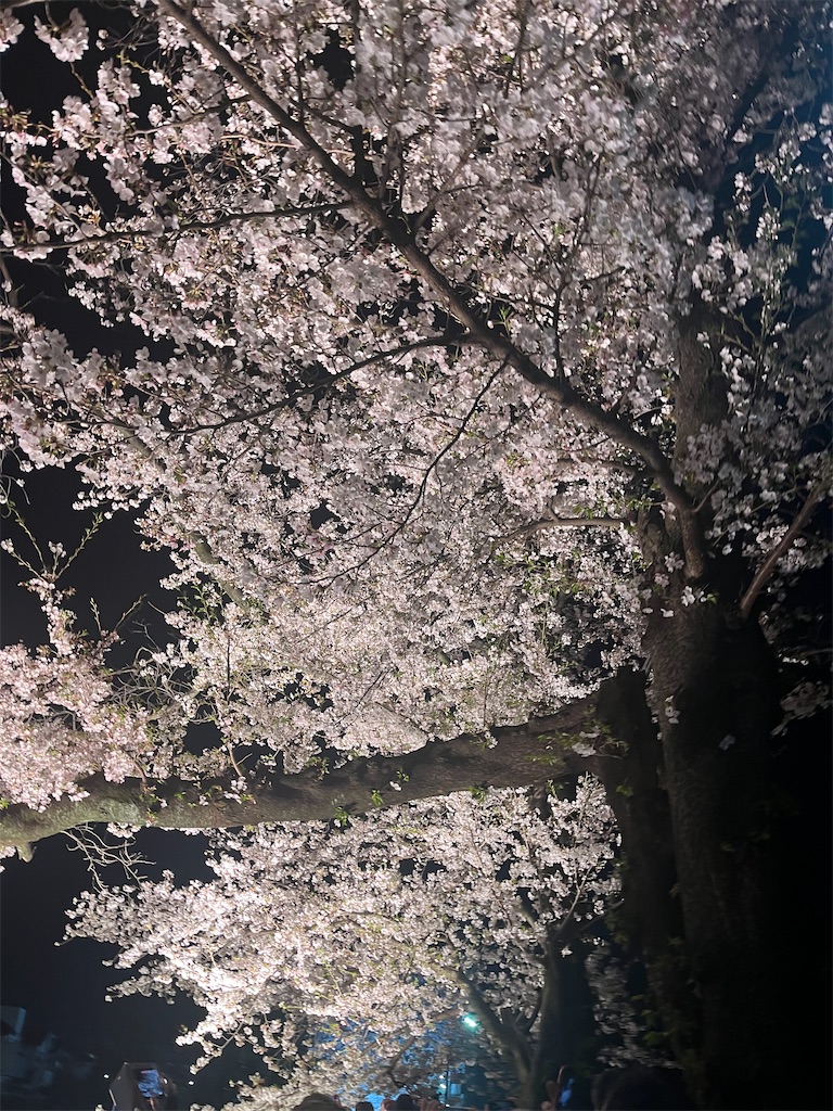 f:id:narutabi:20260405112921j:image