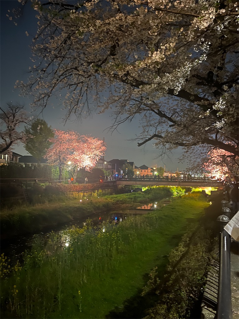 f:id:narutabi:20260405112924j:image