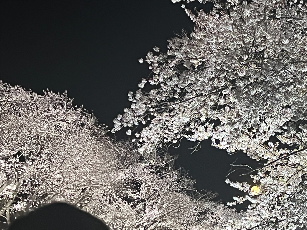 f:id:narutabi:20260405112929j:image
