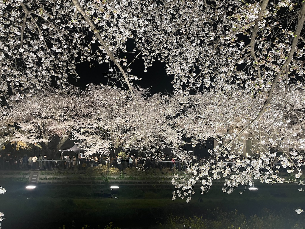 f:id:narutabi:20260405112940j:image