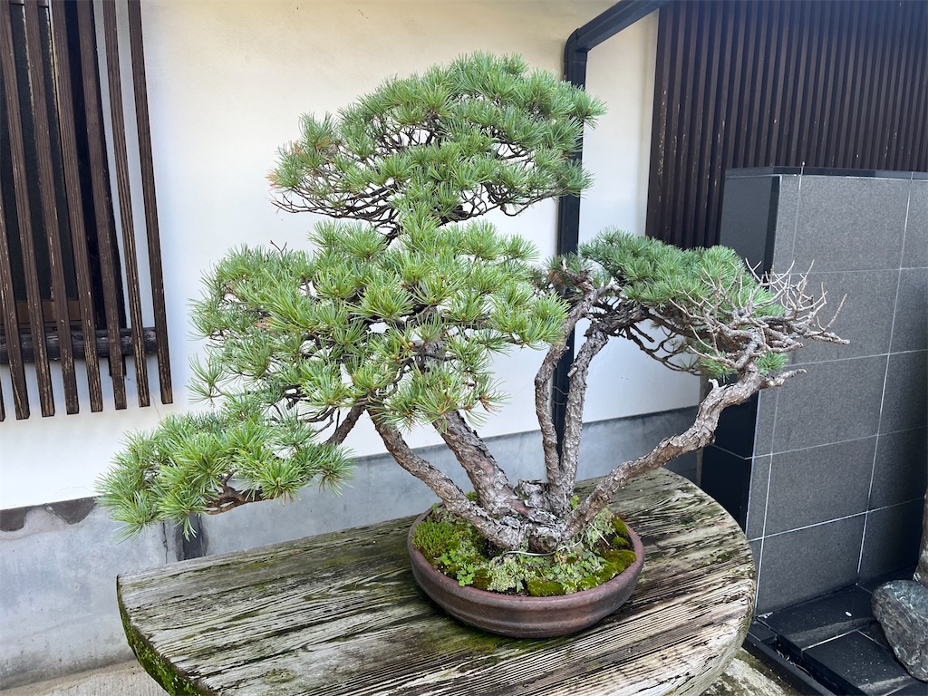 f:id:narutabi:20260414175518j:image