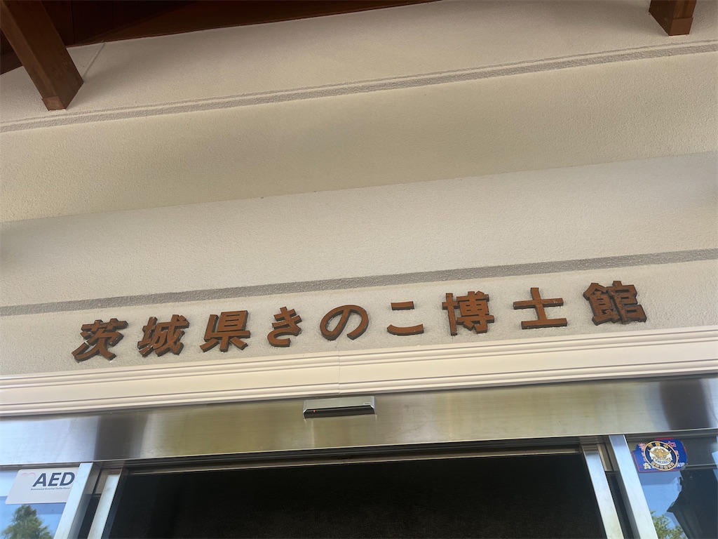 f:id:narutabi:20260414214957j:image