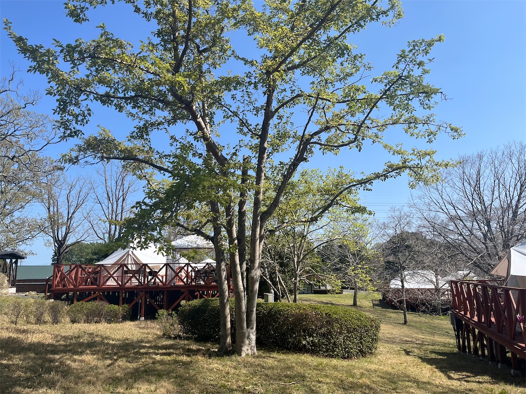 f:id:narutabi:20260414215033j:image