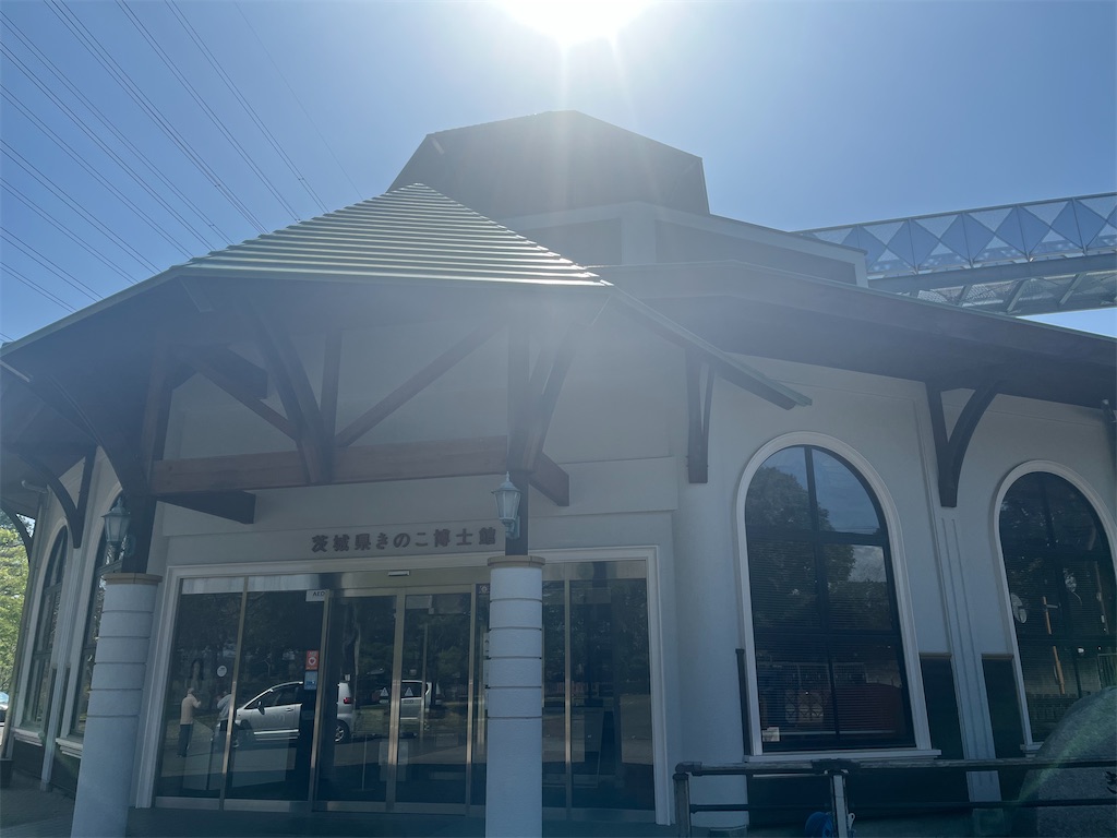 f:id:narutabi:20260414215043j:image