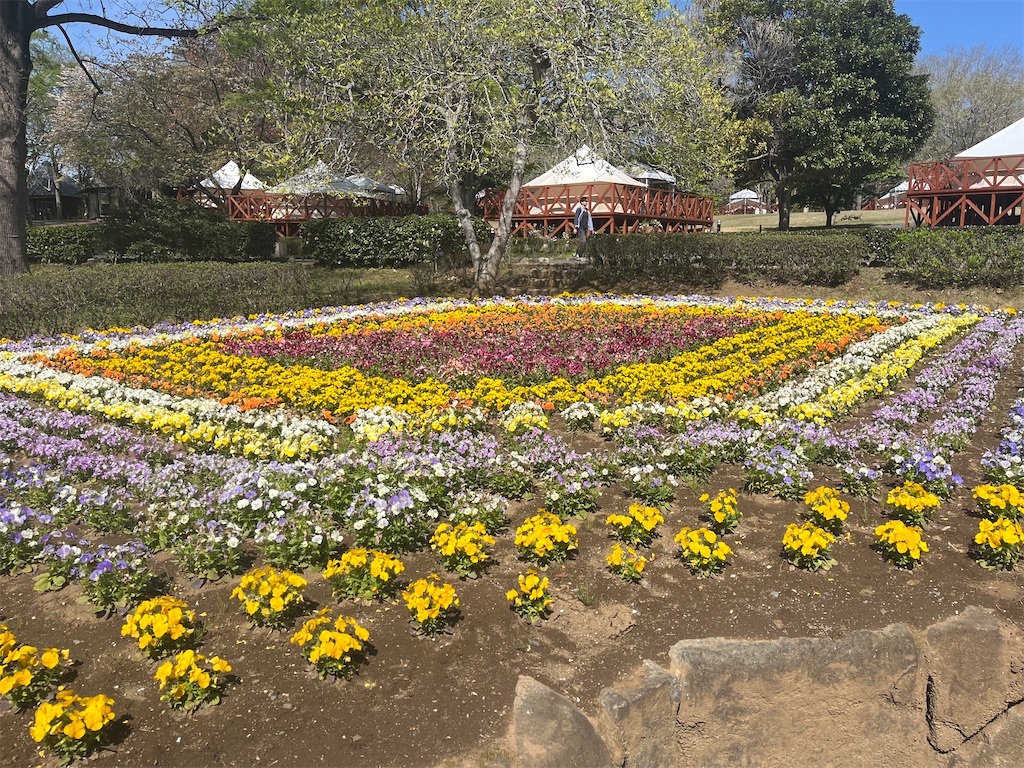 f:id:narutabi:20260415113633j:image f:id:narutabi:20260415113633j:image
