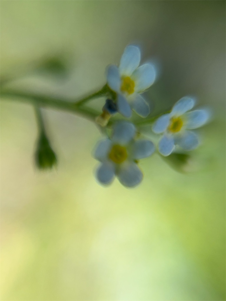 f:id:narutabi:20260415114214j:image f:id:narutabi:20260415114214j:image