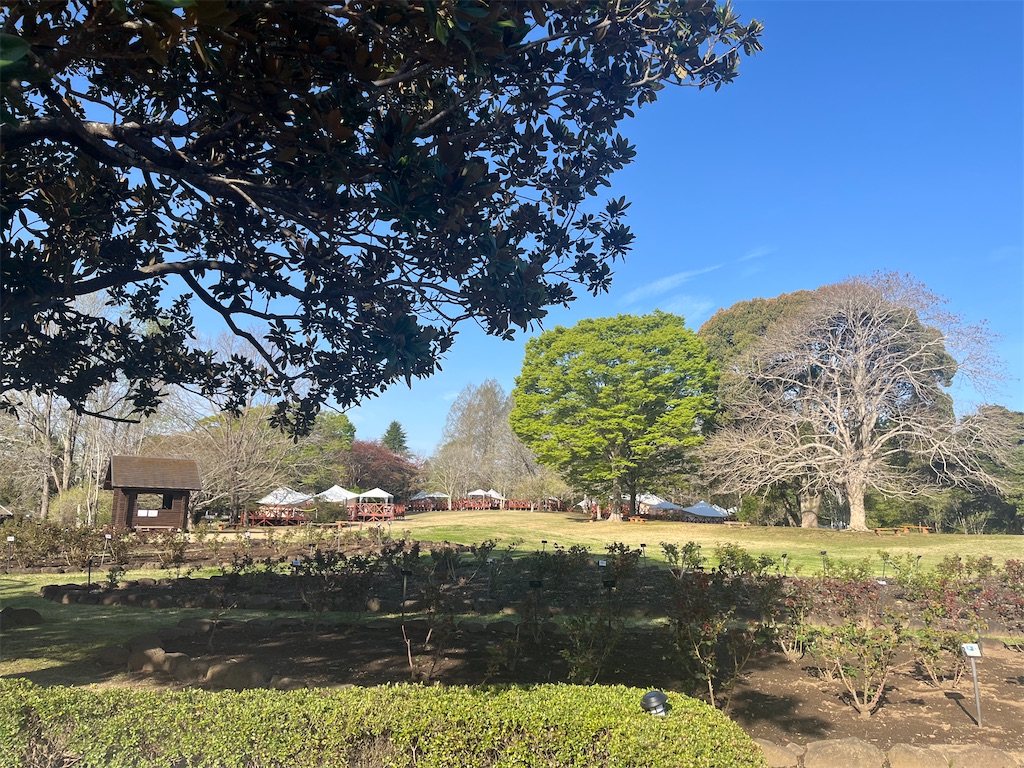 f:id:narutabi:20260416072011j:image f:id:narutabi:20260416072011j:image