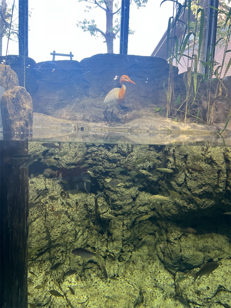 f:id:narutabi:20260419114200j:image