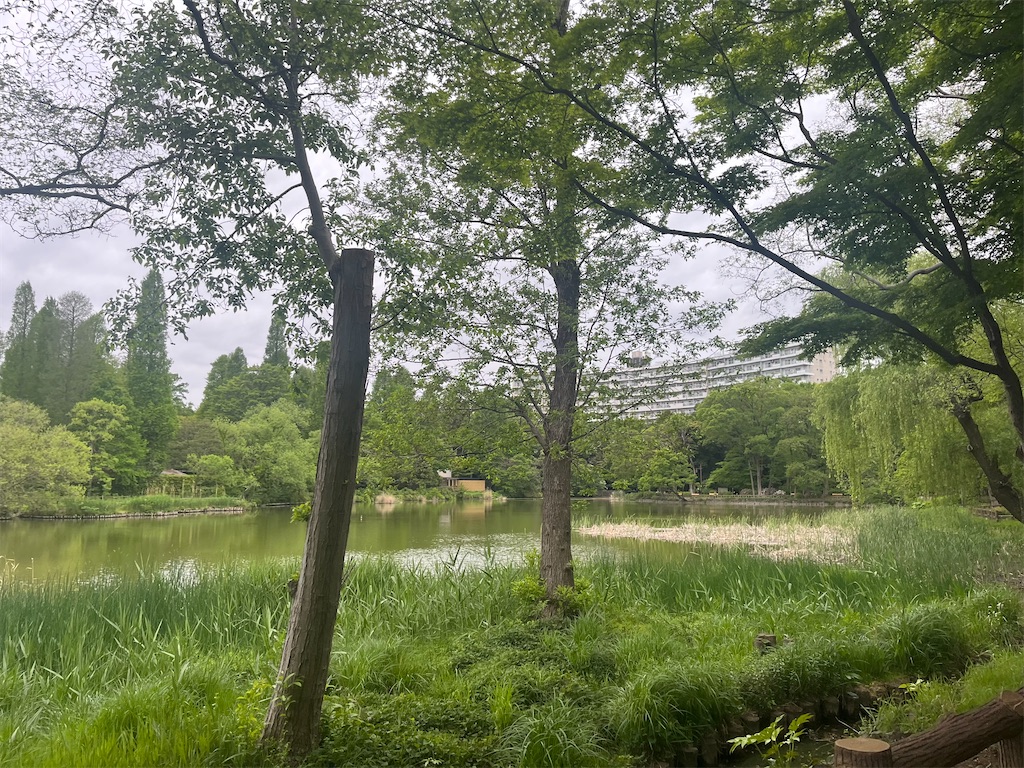 f:id:narutabi:20260423230939j:image f:id:narutabi:20260423230939j:image