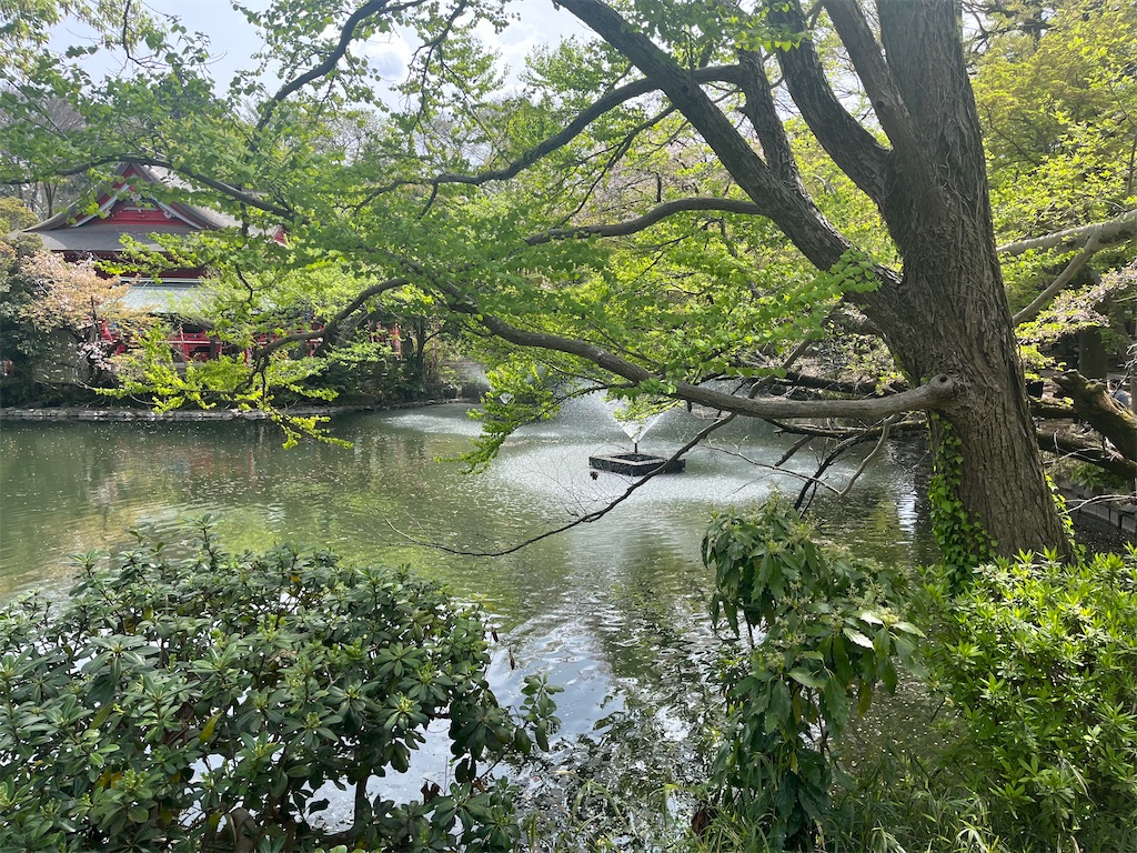 f:id:narutabi:20260423231010j:image f:id:narutabi:20260423231010j:image