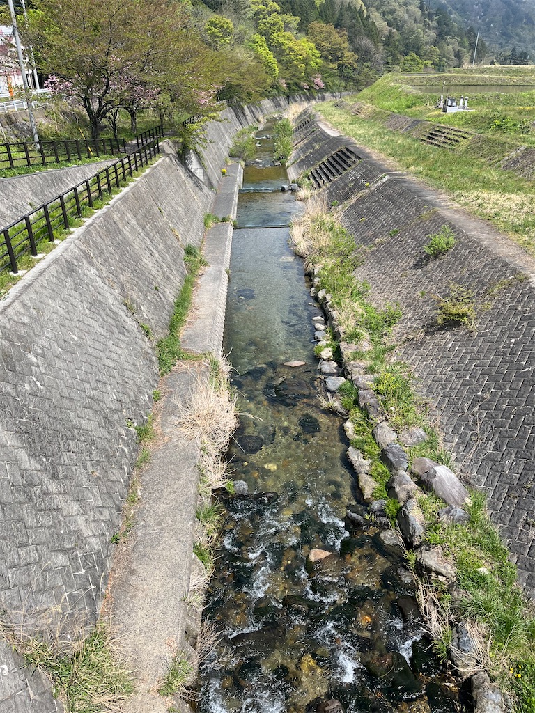 f:id:narutabi:20260428222350j:image