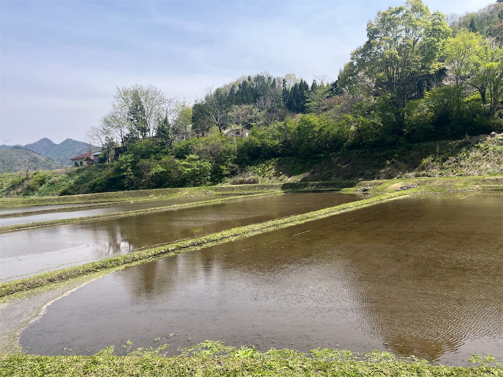 f:id:narutabi:20260428222411j:image