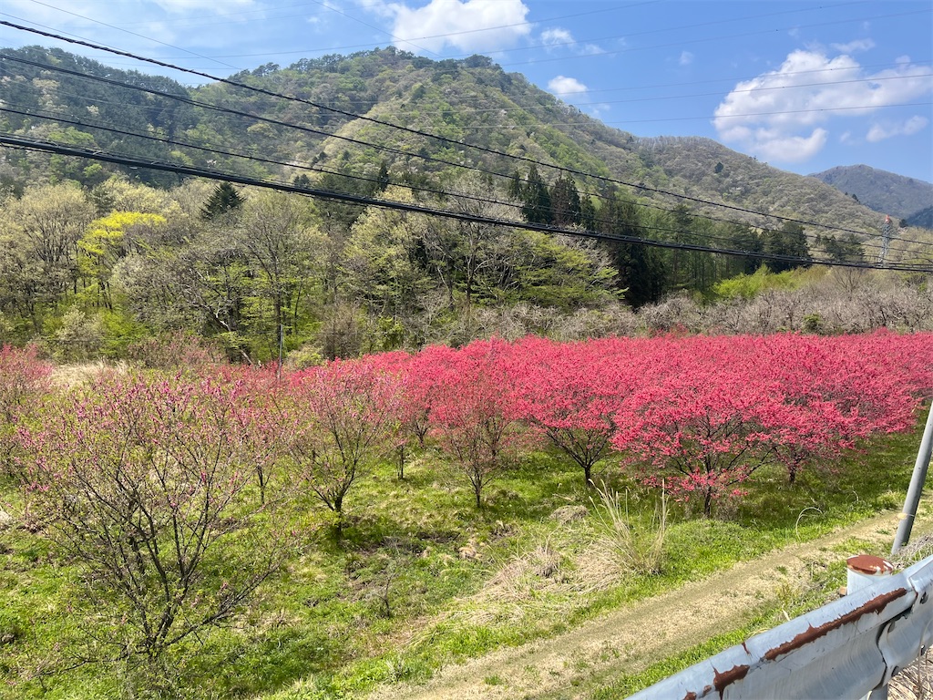f:id:narutabi:20260503114157j:image