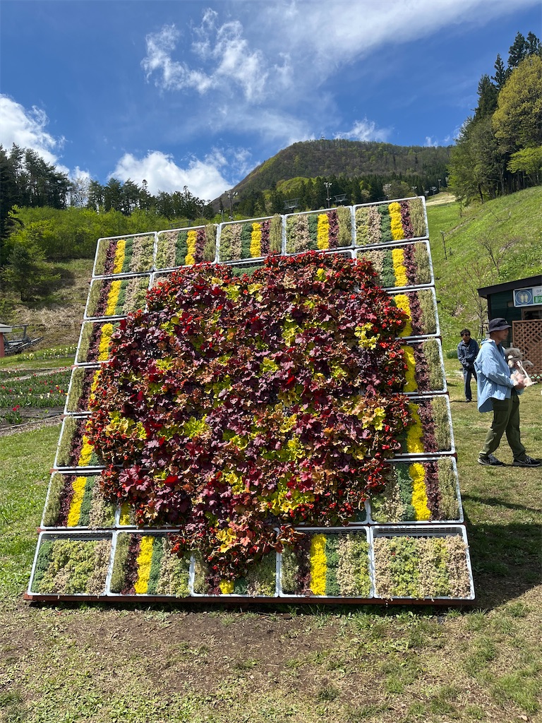 f:id:narutabi:20260507213229j:image