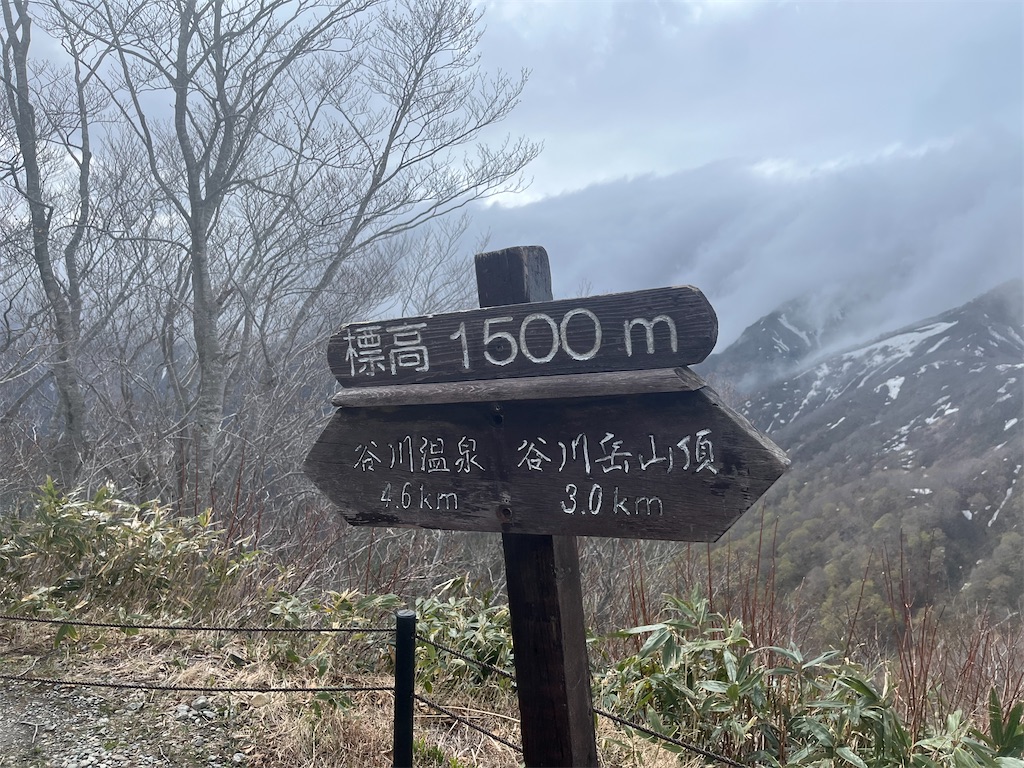 f:id:narutabi:20260507230646j:image