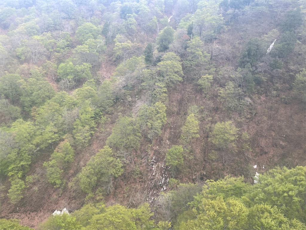 f:id:narutabi:20260507230712j:image