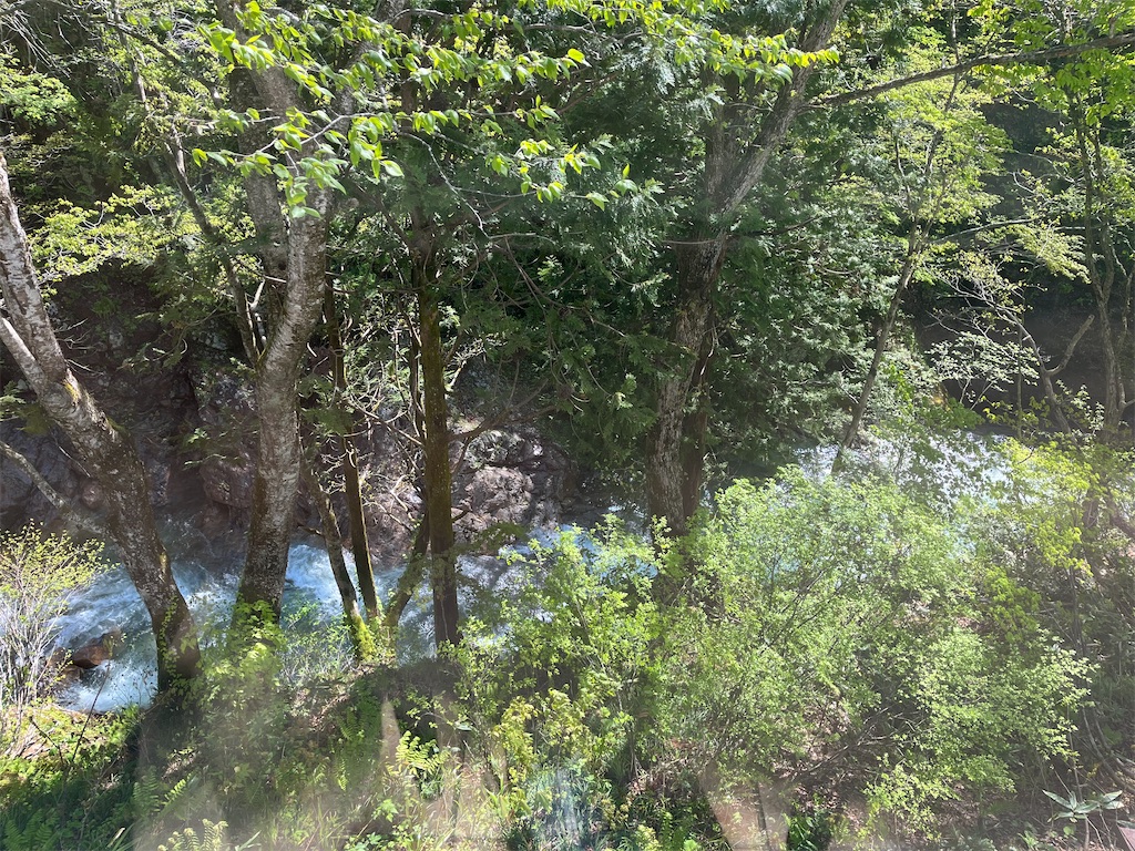 f:id:narutabi:20260510214119j:image