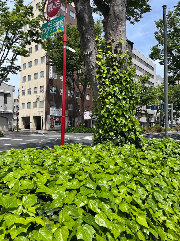 f:id:narutabi:20260513124738j:image