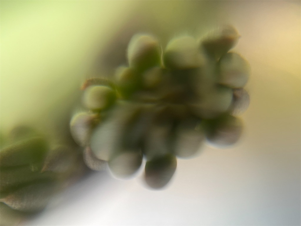 f:id:narutabi:20260514225241j:image f:id:narutabi:20260514225241j:image