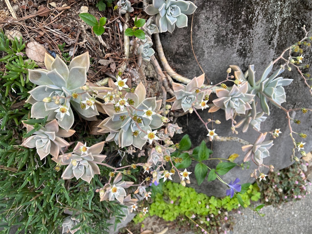 f:id:narutabi:20260514225243j:image f:id:narutabi:20260514225243j:image
