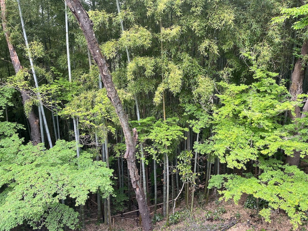 f:id:narutabi:20260514225250j:image f:id:narutabi:20260514225250j:image