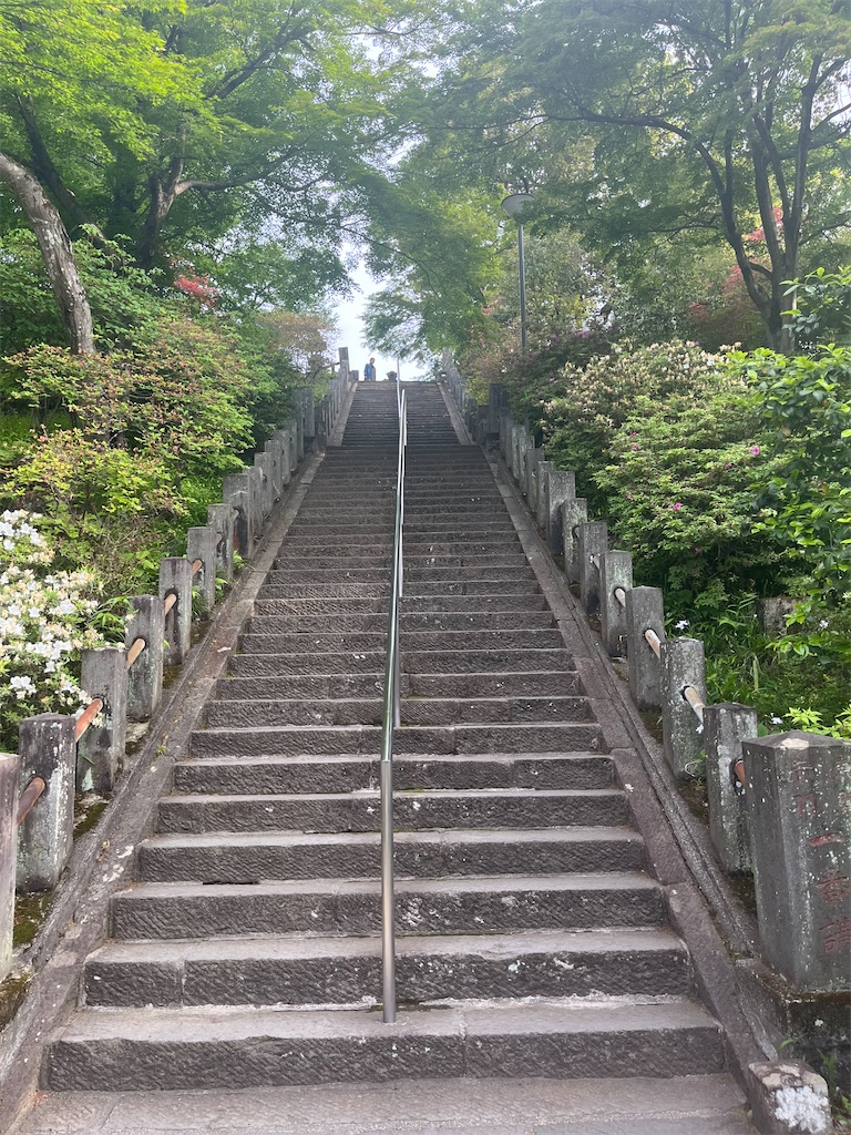 f:id:narutabi:20260516221526j:image