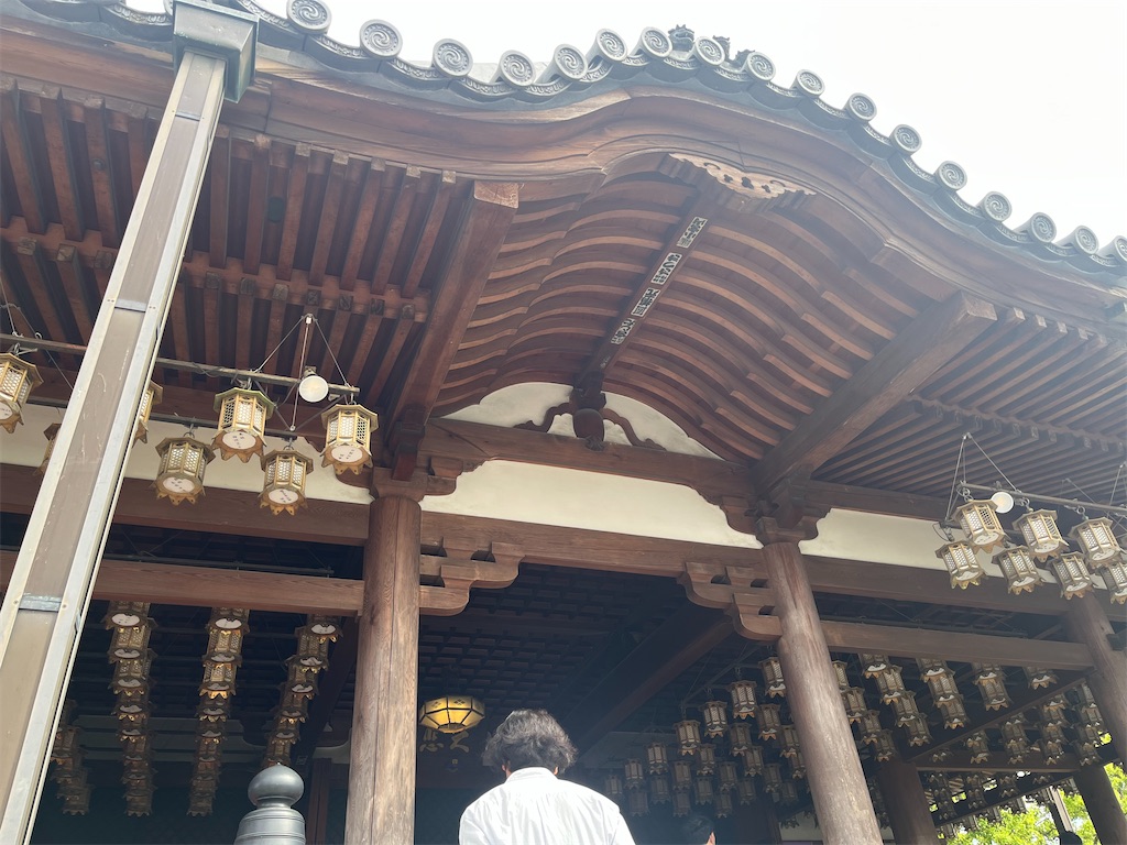 f:id:narutabi:20260516221532j:image