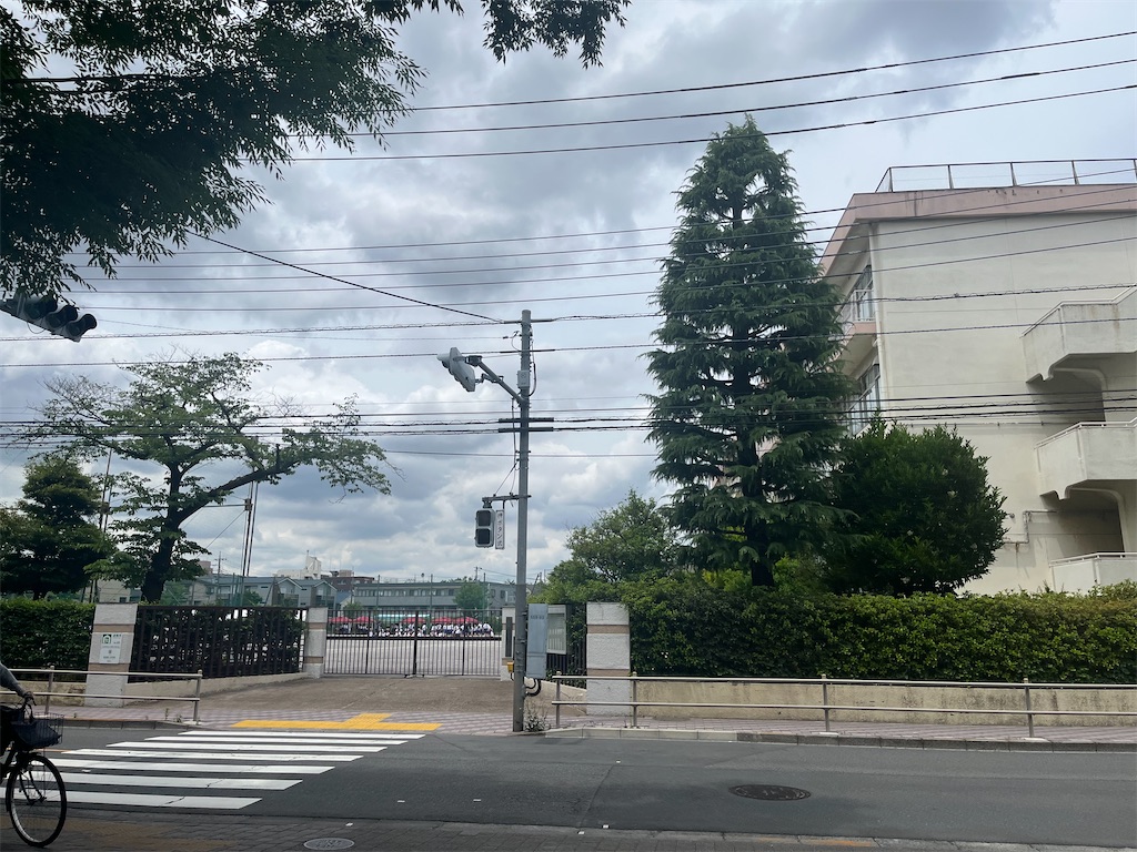 f:id:narutabi:20260526215727j:image