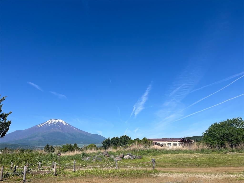 f:id:narutabi:20260603224135j:image