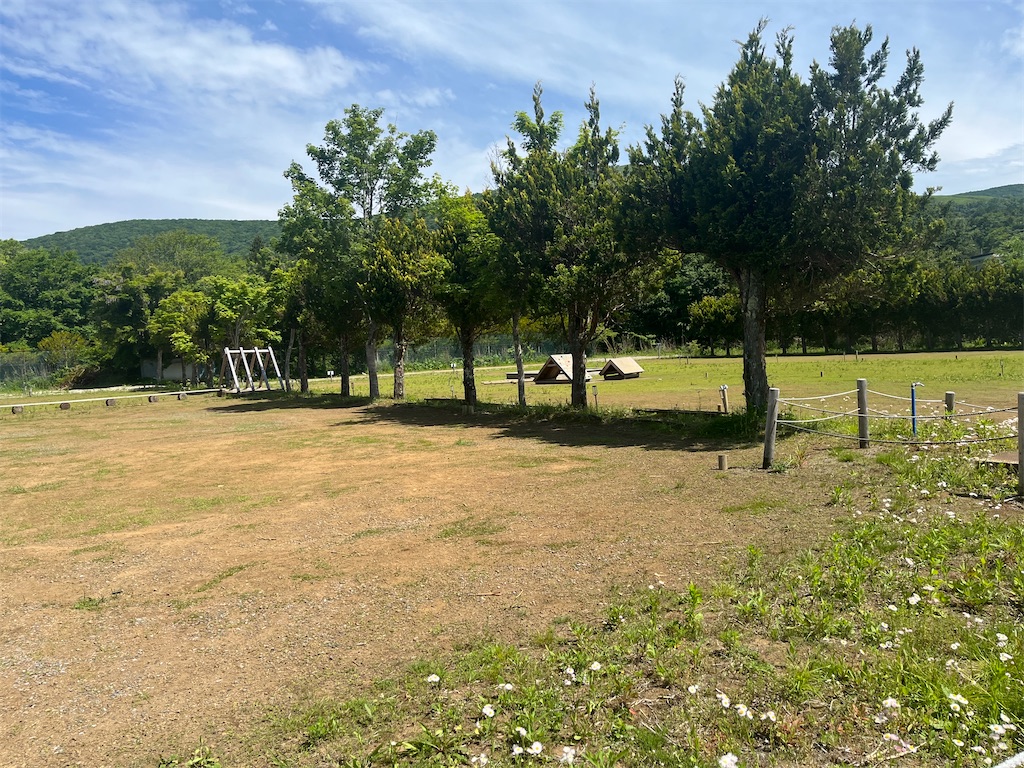 f:id:narutabi:20260603225845j:image