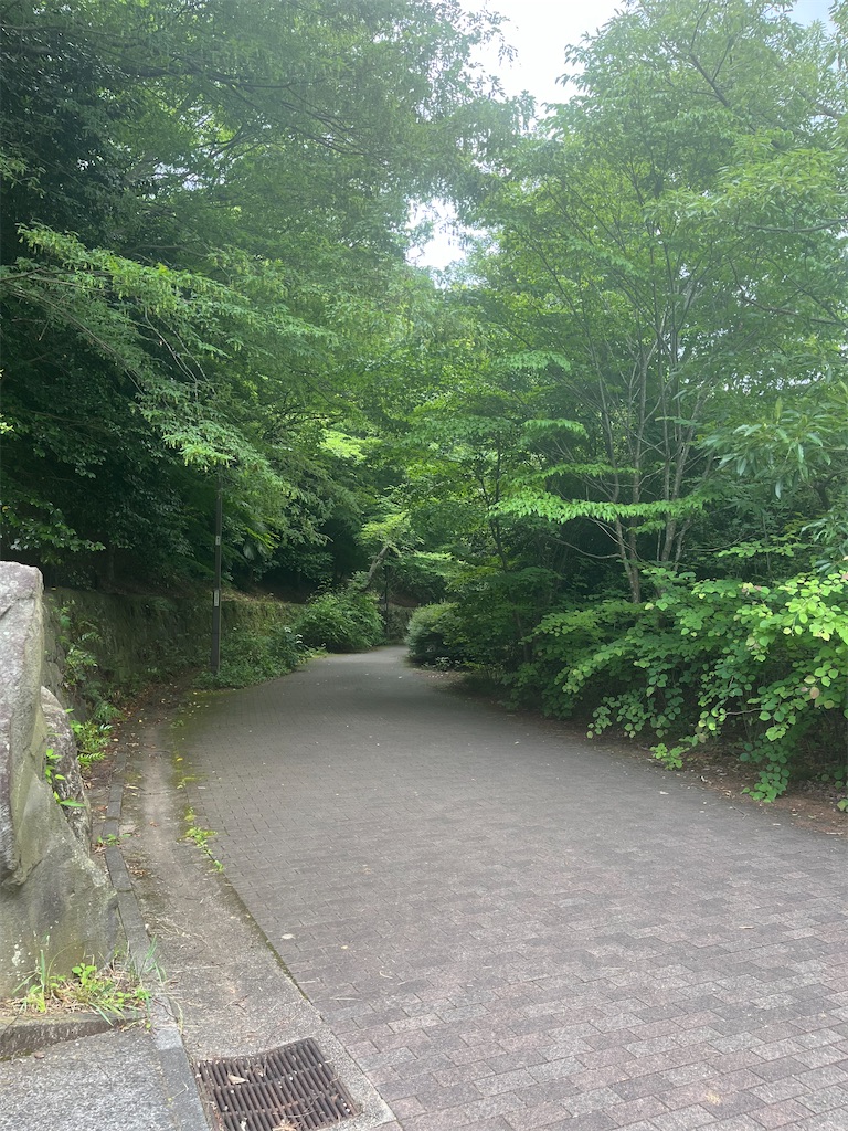 f:id:narutabi:20260624234320j:image f:id:narutabi:20260624234320j:image