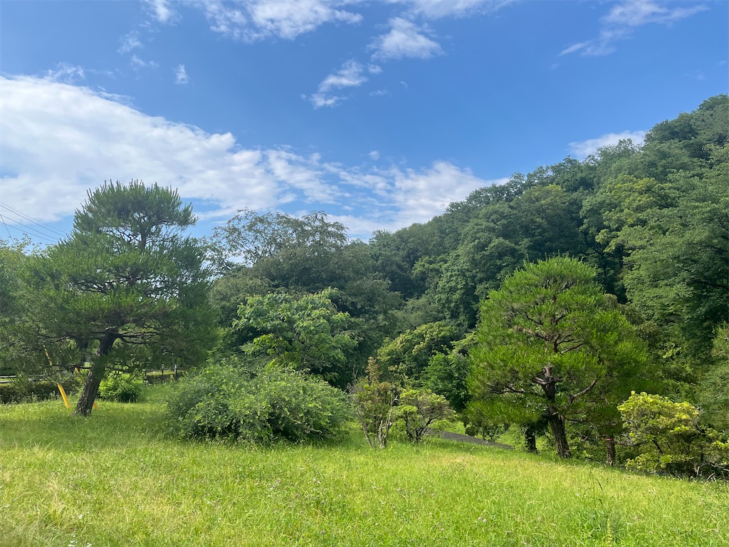 f:id:narutabi:20260624234330j:image f:id:narutabi:20260624234330j:image