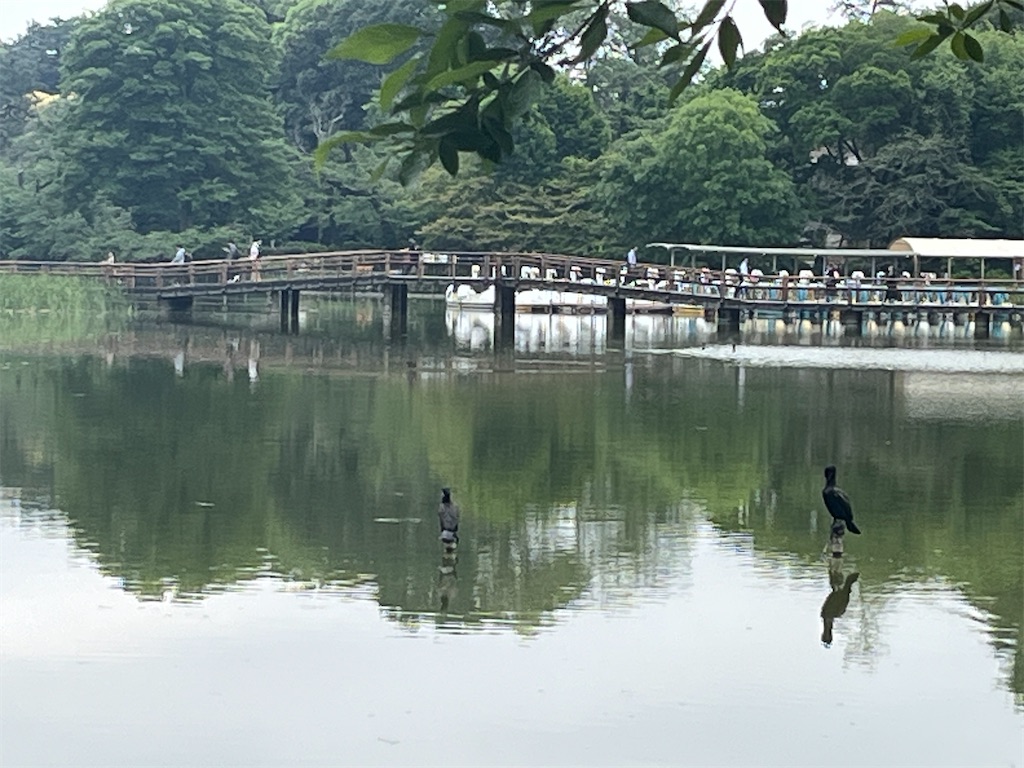 f:id:narutabi:20260624234458j:image f:id:narutabi:20260624234458j:image