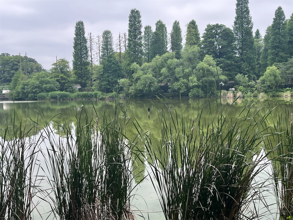 f:id:narutabi:20260624234504j:image f:id:narutabi:20260624234504j:image