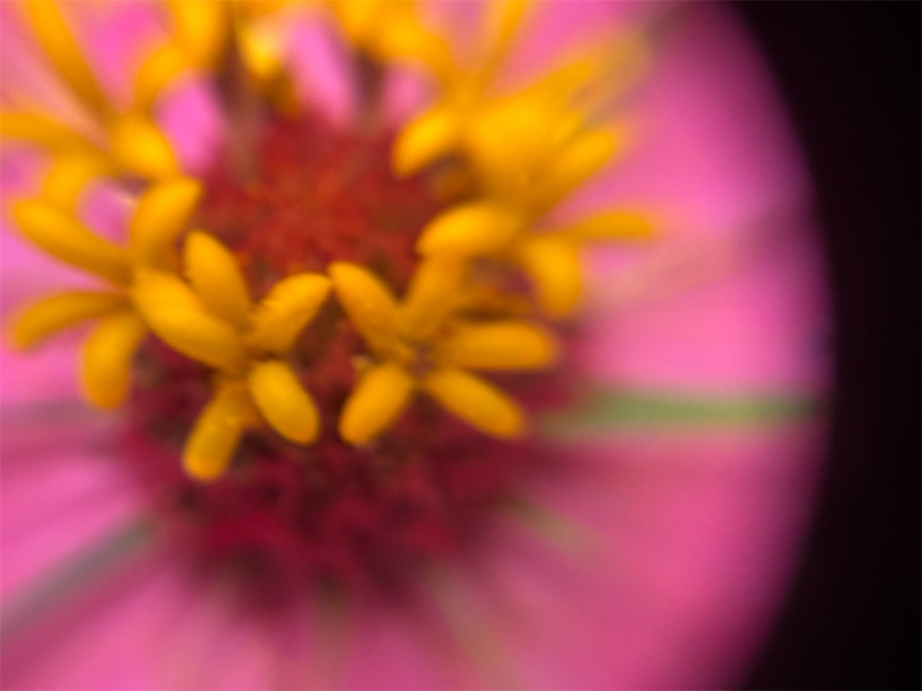 f:id:narutabi:20260824211423j:image f:id:narutabi:20260824211423j:image