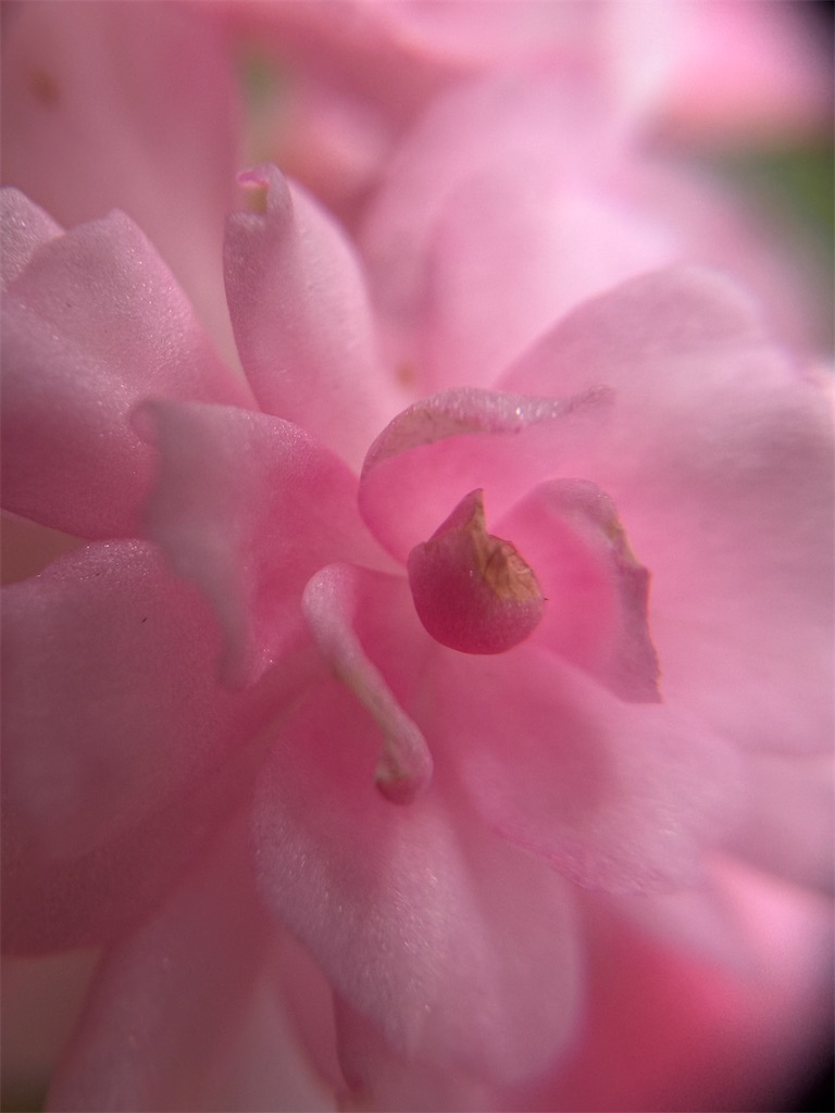 f:id:narutabi:20260824211456j:image f:id:narutabi:20260824211456j:image