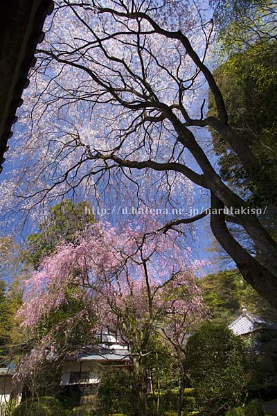 f:id:narutakiso:20090410125810j:image