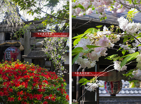 f:id:narutakiso:20130418083909j:image