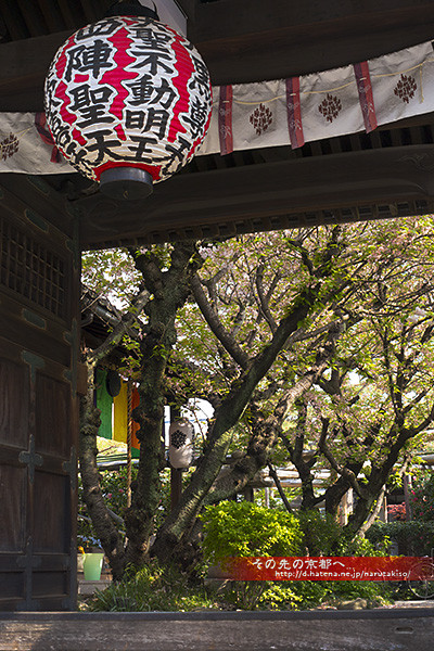 f:id:narutakiso:20130418084549j:image