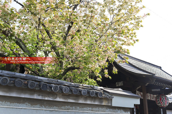 f:id:narutakiso:20130418084655j:image