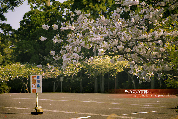 f:id:narutakiso:20130506081126j:image